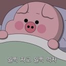 한남언니