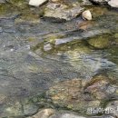 별빛두레펜션 이미지