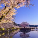 연화목장 | 김천 카페｜연화지 벚꽃 보면서 쉬기 좋았던 카페 연화