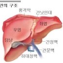 간모세포종 이미지