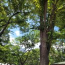 남원농협이백지점 이미지