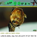 숲속엿보기[제47호]곰개미와 노랑쐐기나방 애벌레의 관계사슬! 이미지