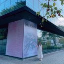 백남준 아트센터 | 용인 전시회 추천) 일어나 2024년이야! 백남준아트센터 전시 후기