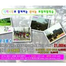 장안체육관(태권도) 이미지