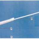 메드트로닉코리아(유) 이미지