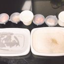 맛깔참죽 양주백석점 | 백석 복지리 죽집 배달되는 참죽 맛있지만 양은..