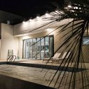 OJE 오늘도제주 이미지