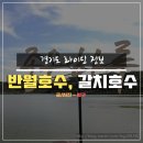 의왕시 낚시터 없음 | [라이딩 정보] #2 반월호수, 갈치저수지