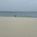 허브향기 이미지