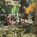 하남유니온로 | 주렁주렁 하남점 주말 할인 꿀팁 카피바라 실내동물원 먹이주기 체험 내돈내산 후기
