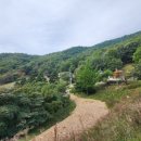 태화 목장 이미지