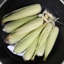 소금&설탕 | 🌽 강원도 텃밭 옥수수 수확! 설탕 없이 소금으로만 삶아본 진짜 맛 후기