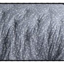 아울렛포천점 이미지