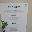 선화로13길 네이버블로그