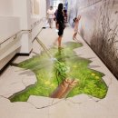 우포늪 생태 사진전 이미지