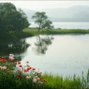 기억의 순간 이미지