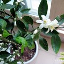 일남농장 이미지