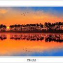 계화진료소 이미지