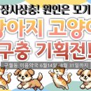 이음약국 이미지