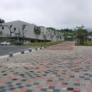 콩이야기 이미지