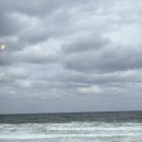 나루민박 이미지