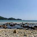 천하회관 | 남해 언니네 산지직송 천하몽돌해변 방문후기 주차 꿀팁