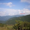 파래소 가든 이미지