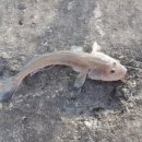 영화농장 이미지