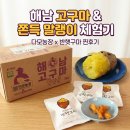 명량로 | 바쁜 아침 든든한 아이들간식, 해남가볼만한곳 단짝상회 꿀고구마 고구마말랭이 택배 후기