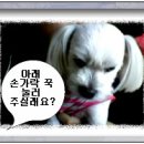 같이 이미지