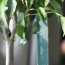 시아 아틀리에(Sia atelier)