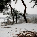 하회마을관리사무소 이미지