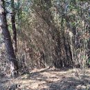 계림육계영농조합법인 이미지