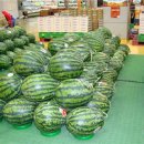 세일홈마트