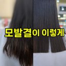 헤어쉬크 | 제천 쉬크헤어 매직셋팅 후기｜윤기·라인·모발결까지 정돈된 이유