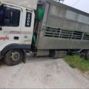 수원-0992 이미지