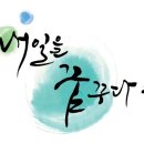 꿈디자인 이미지