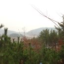 수룡 경로당 Daum카페