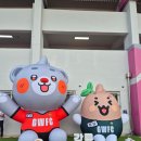 강릉아레나 | 강원FC vs 김천상무 강릉하이원아레나 스카이라운지 직관 후기( 강릉종합운동장)