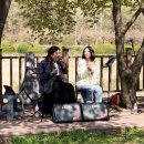 카페 버스킹(Cafe Busking) 이미지