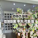 제천 펫택시 | 반려견과 이별 반려견 장례업체 후기(반려견 장례 팁)