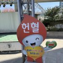 🩸 생애 첫 헌혈 후기｜부평 헌혈의집 방문 리얼 후기 (아픔, 시간, 기념품까지!)