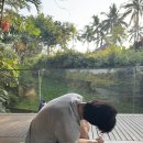 신혼여행 발리 3일차 : 자유여행 마야 우붓 리조트에서 요가, 수영그리고 몽키포레스트