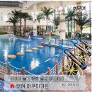 부여 롯데리조트 아쿠아가든 후기 및 완벽정리/ 이용요금&amp;할인정보&amp;푸드코트&amp;이용방법