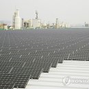 스타3 태양광발전소 이미지