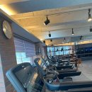 스파르타짐 이미지