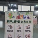 레인보우앵무새카페
