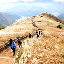 평창(하)휴게소 이미지