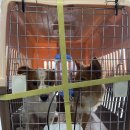 제시카 켄넬 이미지