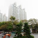 신나무실 신성 신안·쌍용·진흥 이미지